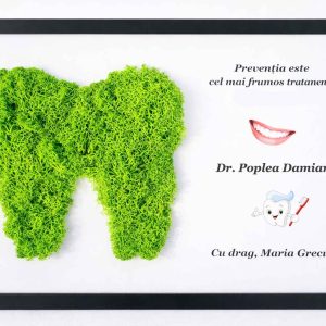 cadou pentru medic dentist barbat