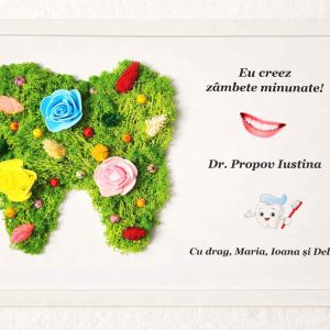 cadou pentru medic stomatolog femeie